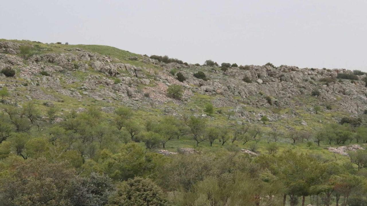 El Rincon De San Jose Leilighet Marjaliza Eksteriør bilde