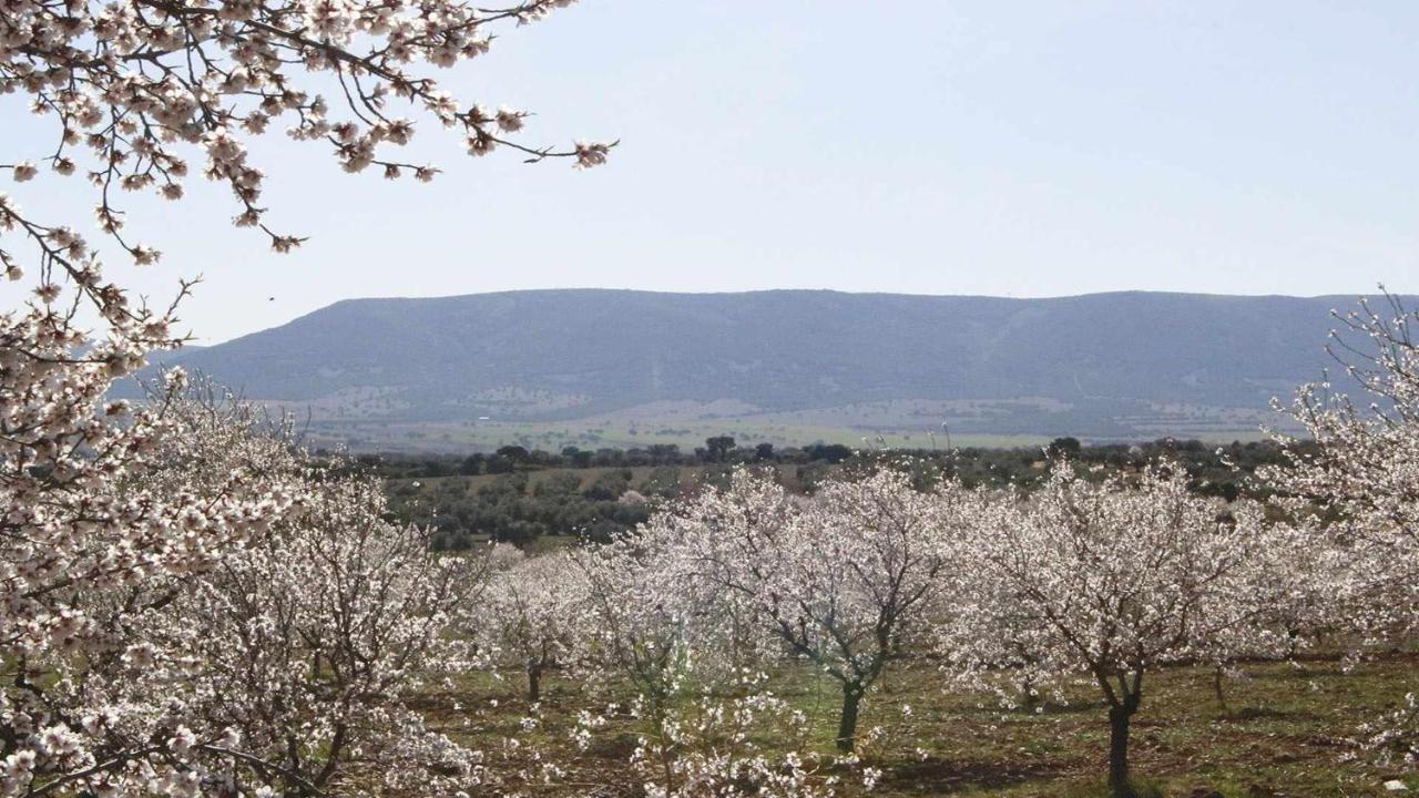 El Rincon De San Jose Leilighet Marjaliza Eksteriør bilde