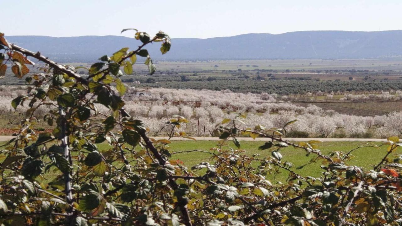 El Rincon De San Jose Leilighet Marjaliza Eksteriør bilde